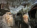 IMG_2438