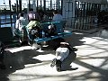 IMG_8080