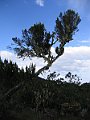 IMG_8166
