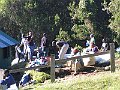 IMG_8187