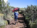 IMG_8195