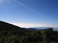IMG_8254