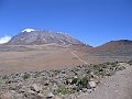 IMG_8259