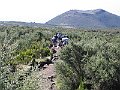 IMG_8316