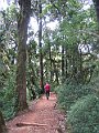IMG_8332