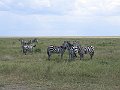 286_8688