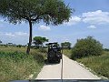 IMG_8401