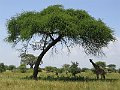 IMG_8404