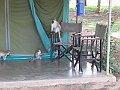 IMG_8442