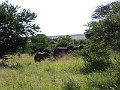 IMG_8560
