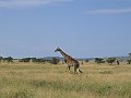 IMG_8568