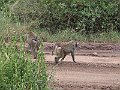 IMG_8584