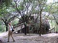 IMG_8602