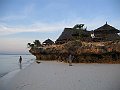 290_9061