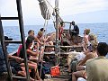 291_9191