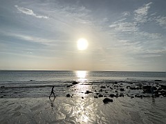 IMG_1662