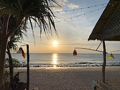 IMG_1687