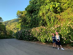 IMG_2469