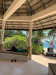 IMG_2595