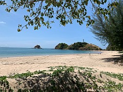 IMG_2661