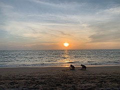 IMG_2772