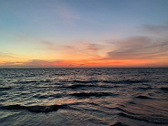 IMG_2782