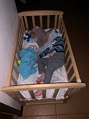 IMG_2817(1)