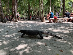IMG_2935(1)
