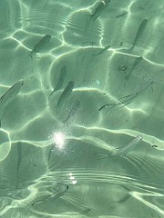 IMG_2935e