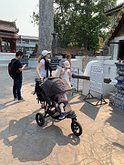 IMG_3236