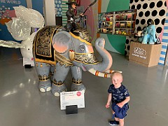 IMG_3406