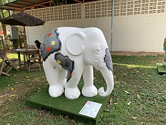 IMG_3409