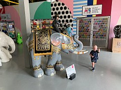 IMG_3416