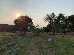 IMG_3486