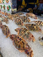 IMG_3775