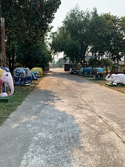 IMG_3838