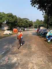 IMG_3843