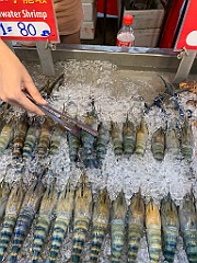 IMG_4058