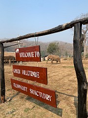 IMG_4114