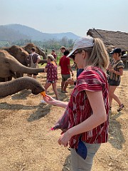 IMG_4162