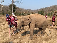 IMG_4206