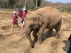 IMG_4212