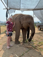 IMG_4285