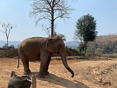 IMG_4293