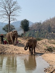 IMG_4297