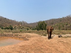 IMG_4375