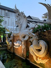 IMG_4410