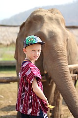 IMG_4537