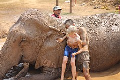 IMG_4585