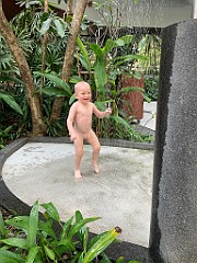 IMG_0731